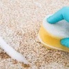 Секреты эффективной мойки ковров: проверенные методы и техники